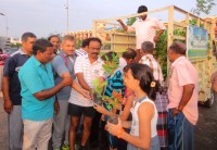 forests,information,prevention,herbs,knowledgeable,