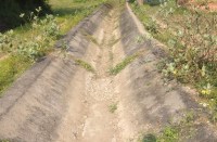 बम्हनीडीह ब्लॉक के सैकड़ो एकड़ फसल तबाह