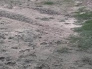 Kanpur