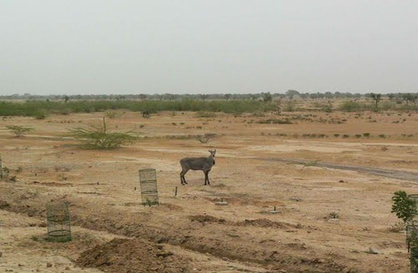 No Industrial Development In Kathumar Area Of Alwar