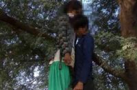 Dead Body Of Men And Women Found In Thanagaji Alwar