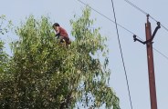 सावधान! 25 अक्टूबर तक सुबह आठ बजे से पूर्व कर लें बिजली से जुड़े सारे काम, वरना इंतजार में कट जाएगा पूरा दिन, जानें क्या कर रहा विद्युत विभाग