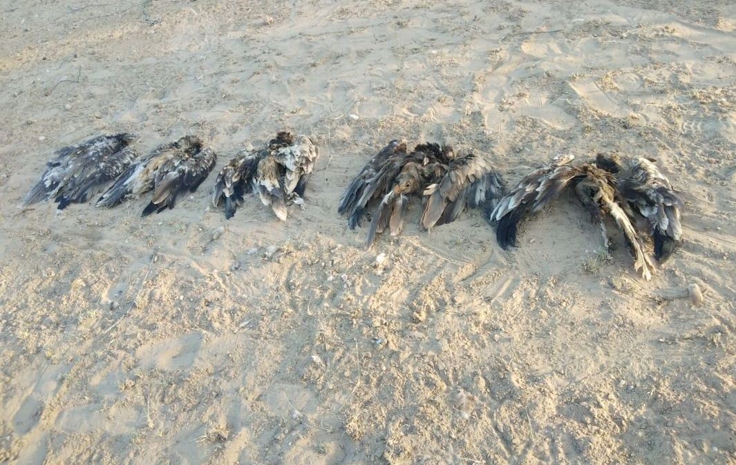 jaisalmer