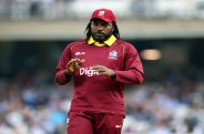 gayle 