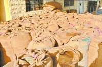 समर्थन मूल्य घोषित, पोर्टल शुरू हुआ ना खरीद केन्द्र