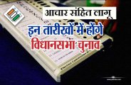 Assembly election