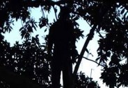 Hanging