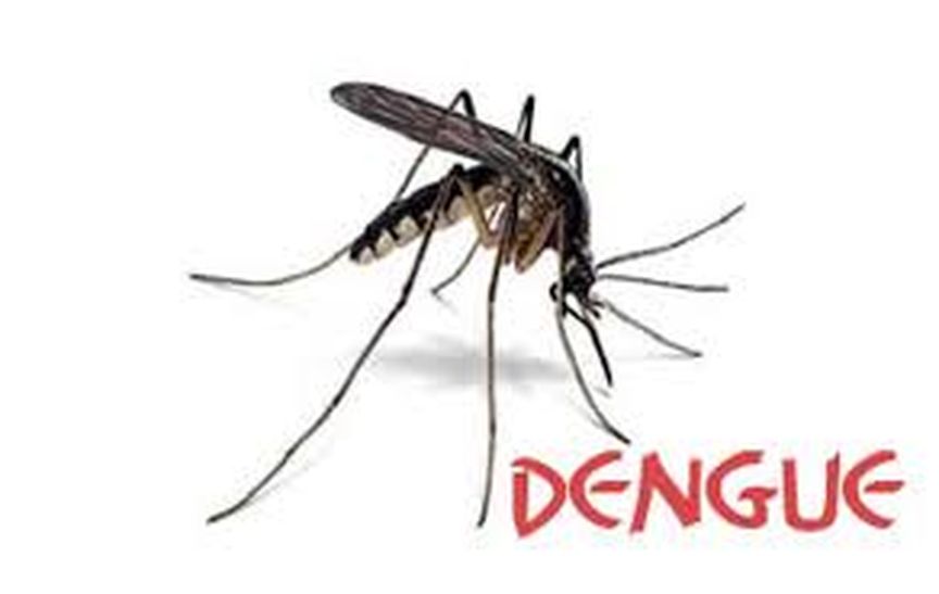 Dengue, viral fever, disease, suffering, hygiene