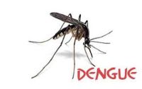 Dengue, viral fever, disease, suffering, hygiene