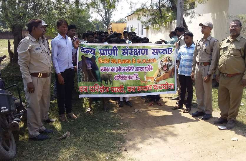 वन्य प्राणी संरक्षण सप्ताह पर निकाली गई रैली, लोगों को बताया वन और वन्य जीवों का महत्व