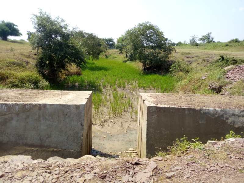 Dam does not stop in water stop dam is farmed