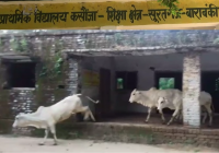 Primary school Kasaunja Barabanki poor condition