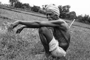  Clouds forgot the way of Raja Virat's city: Risks of increased concern in the face of farmers
