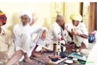 smuggling of poium in rajasthan