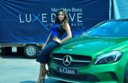 gauri khan