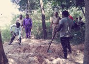 Dig grave
