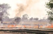 air pollution