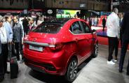 tata togor