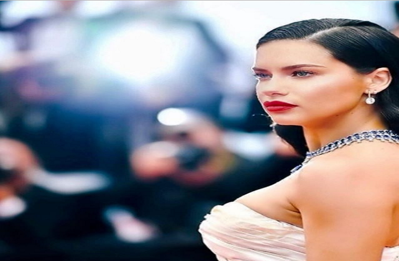 victoria secret angel adriana lima married to herself