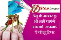 dengue in MP