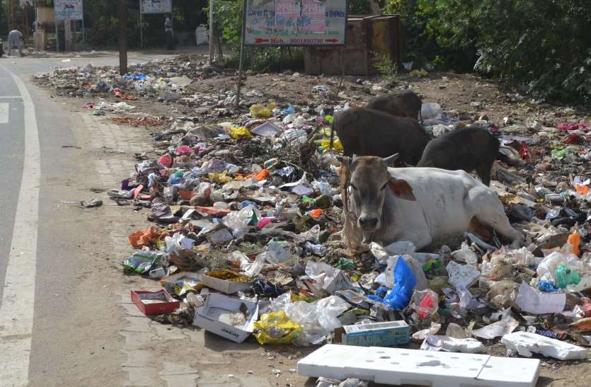 Swacchta Sarvekshan : Alwar Ranking in clean cities