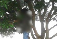 Hanging body