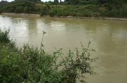 ट्रक का पट्टा टूटने से नहर में गिरा ट्रक, ड्राइवर व हमाल ने तैरकर बचाई जान, बह गया 51 बोरी चावल और छह बोरी शक्कर