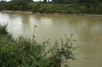 ट्रक का पट्टा टूटने से नहर में गिरा ट्रक, ड्राइवर व हमाल ने तैरकर बचाई जान, बह गया 51 बोरी चावल और छह बोरी शक्कर