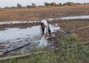 Farmers gathered in Palva after cleaning the fields