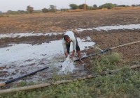 Farmers gathered in Palva after cleaning the fields