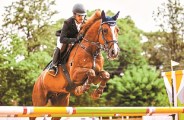 horse rider