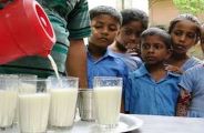 Concern for giving milk and nutrition to children, lean teachers