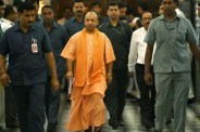 yogi
