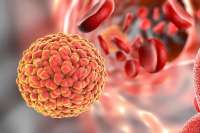 zika, virus, pregnant, lady, baby, new, born, health, mental, brain