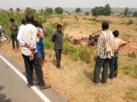 The Badhal Valley Leo's Life