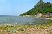 preparing-to-cut-10-percent-water-from-bisalpur-dam