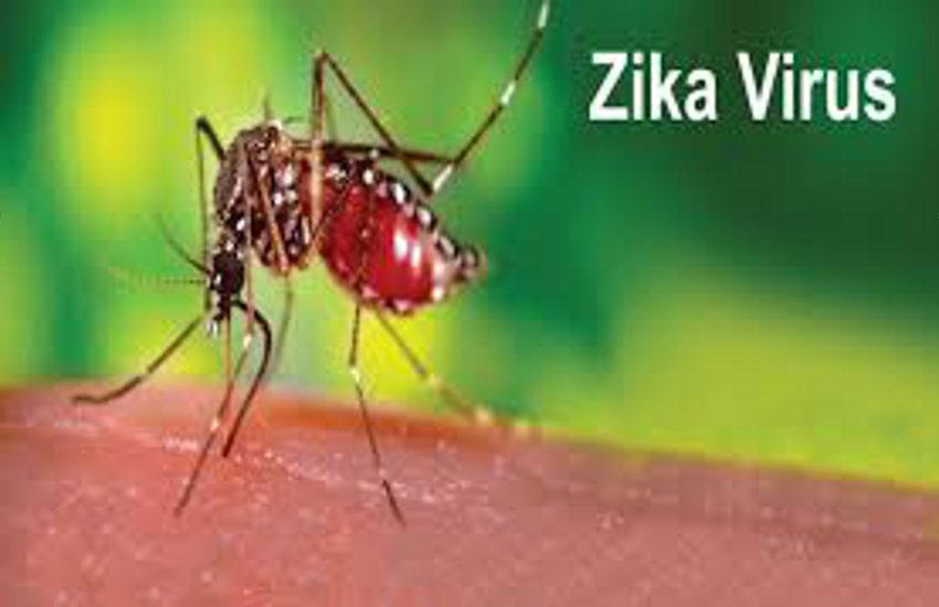Zika Virus, servelence in Gujarat