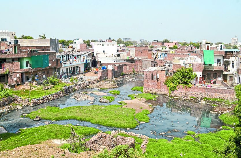 kota
