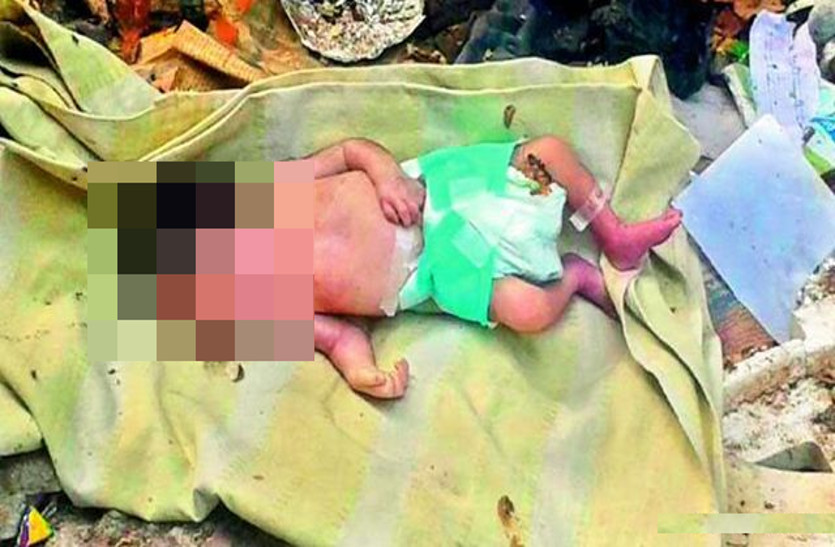Korea newborn baby dead