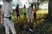 dead body