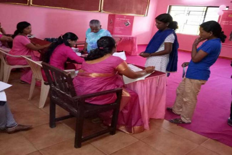 Elections Pink Booth Women New Initiatives