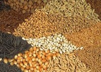 Taxpayers will be free from the turn of the moneylenders