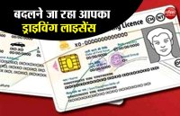Driving License