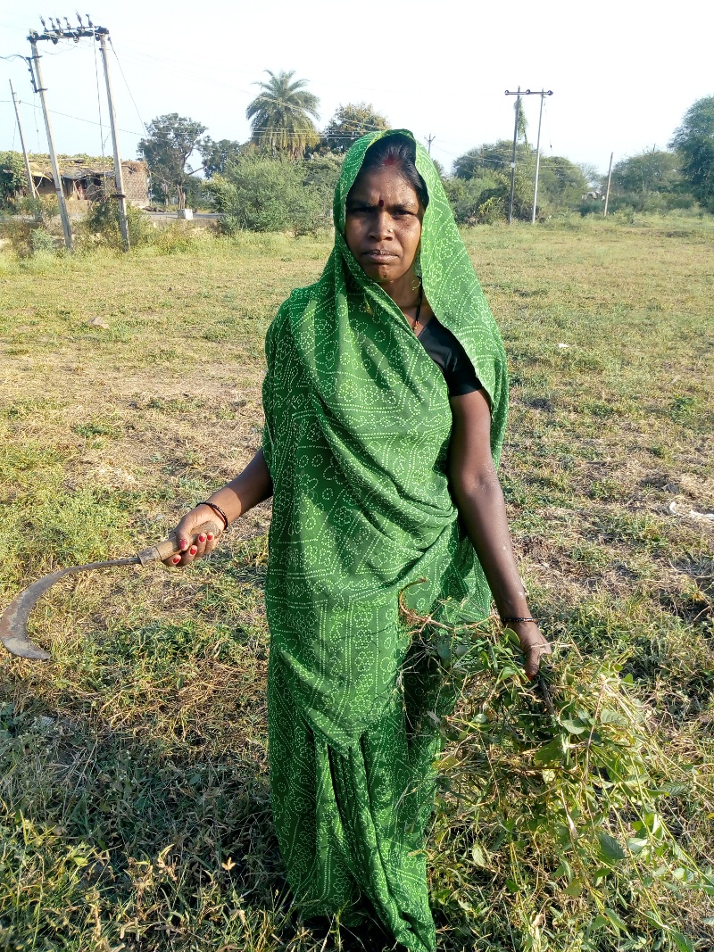 International day of Rural Women 2018
