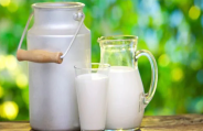 milk