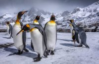 interview,Education News,interview tips,general knowledge,GK,competition exam,education tips in hindi,questions Answers,