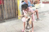 girl with pet tiger cub goes viral on chinese social media