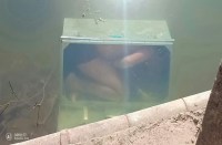 death-body-found-in-river-in-dungarpur