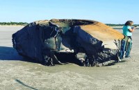 mysterious object washes up on beach and nobody knows what it is