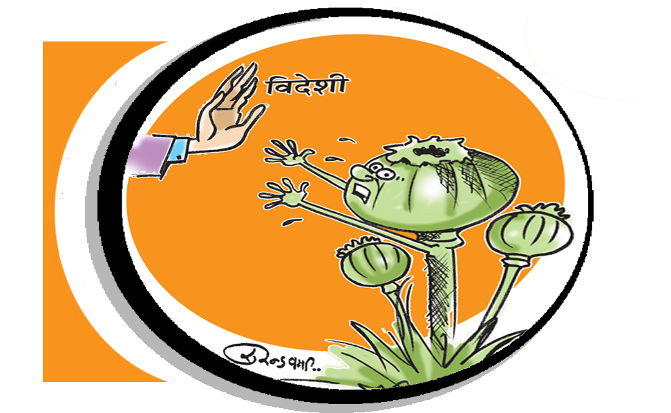 kota news